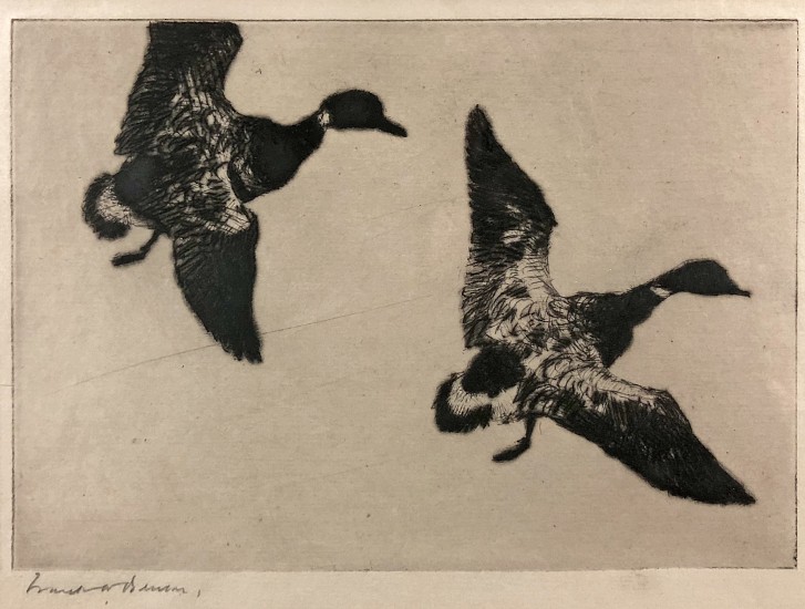 Frank Benson, Flying Brant
Etching