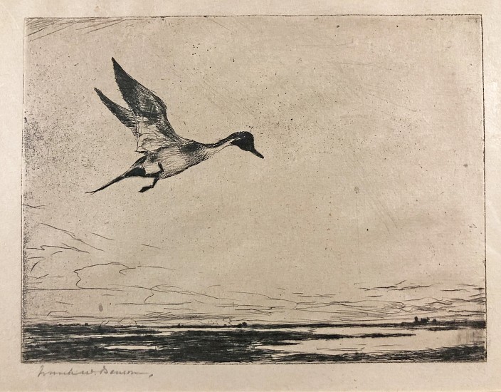 Frank Benson, Lone Pintail
Etching