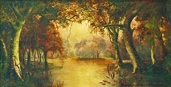 meeker.swampscene.good.2020