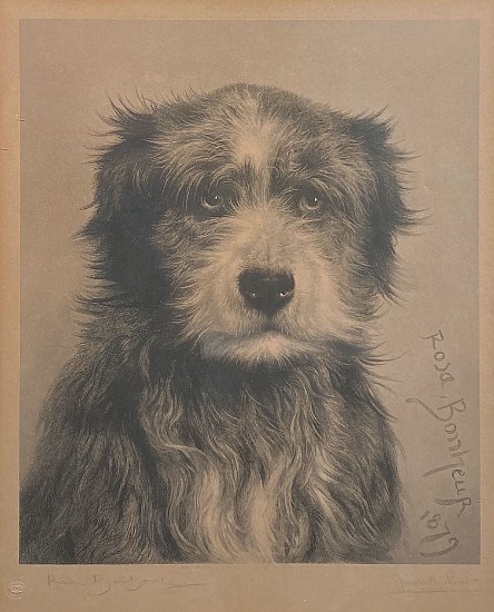 Marie Rosalie (rosa) Bonheur, Pleading Eyes
1879, Engraving