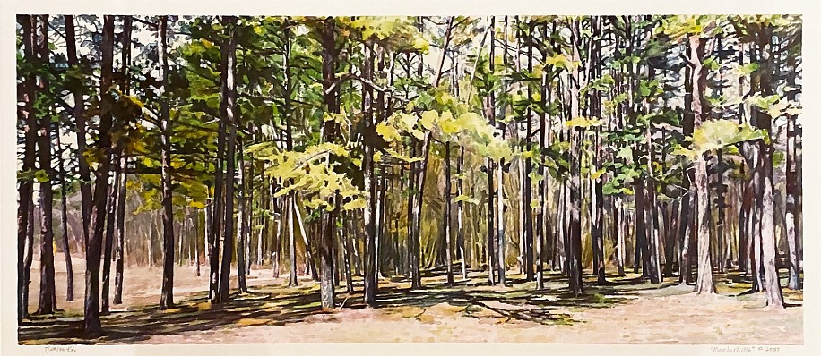 Kent Addison, March 17, 1996
1996, Watercolor