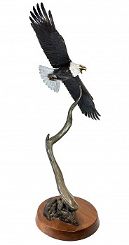 hunt.bankingonthewind