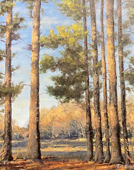 Timothy Wilson, Busch Wildlife Pines
2023, Acrylic on Board