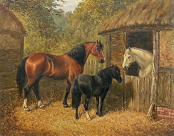 herring.three.horses.near.stable.crop