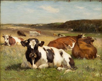 Howe.RestingCows.Crop