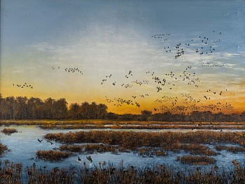 Harris.TakingFlight.Crop.small